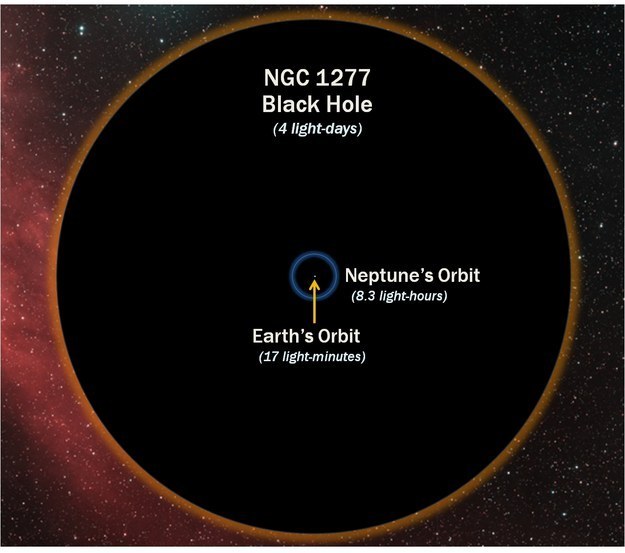 Buraco negro comparado com a órbita da terra
