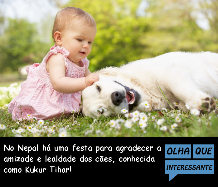 Amizade dos Cães - Kukur Tihar